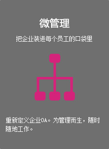 微管理