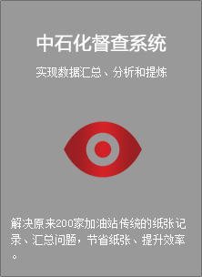 中石化督查系统