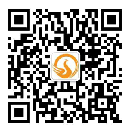 佛山网络公司