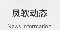 佛山网络公司新闻